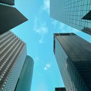 Meet your Posher, Rex